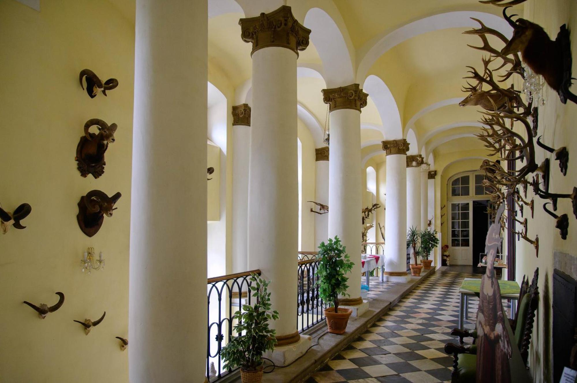 Appartamento Zamek Usobi Esterno foto